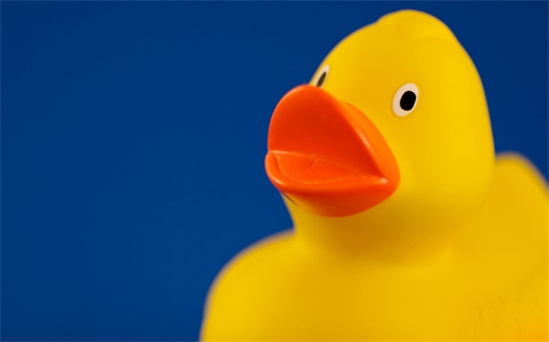 老纪特最新邮票报价,老纪特邮票精品在新中国是数一数二的邮票